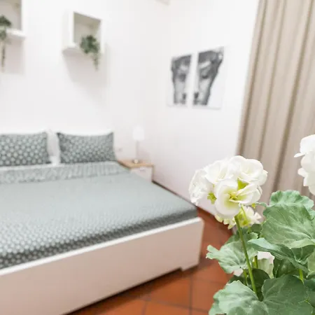 Гостевой дом San Lorenzo